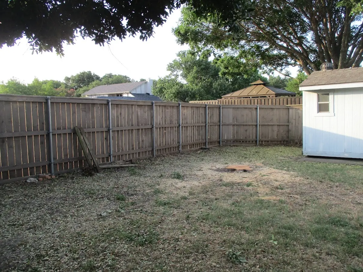 Cleared yard after professional tree removal in Young America